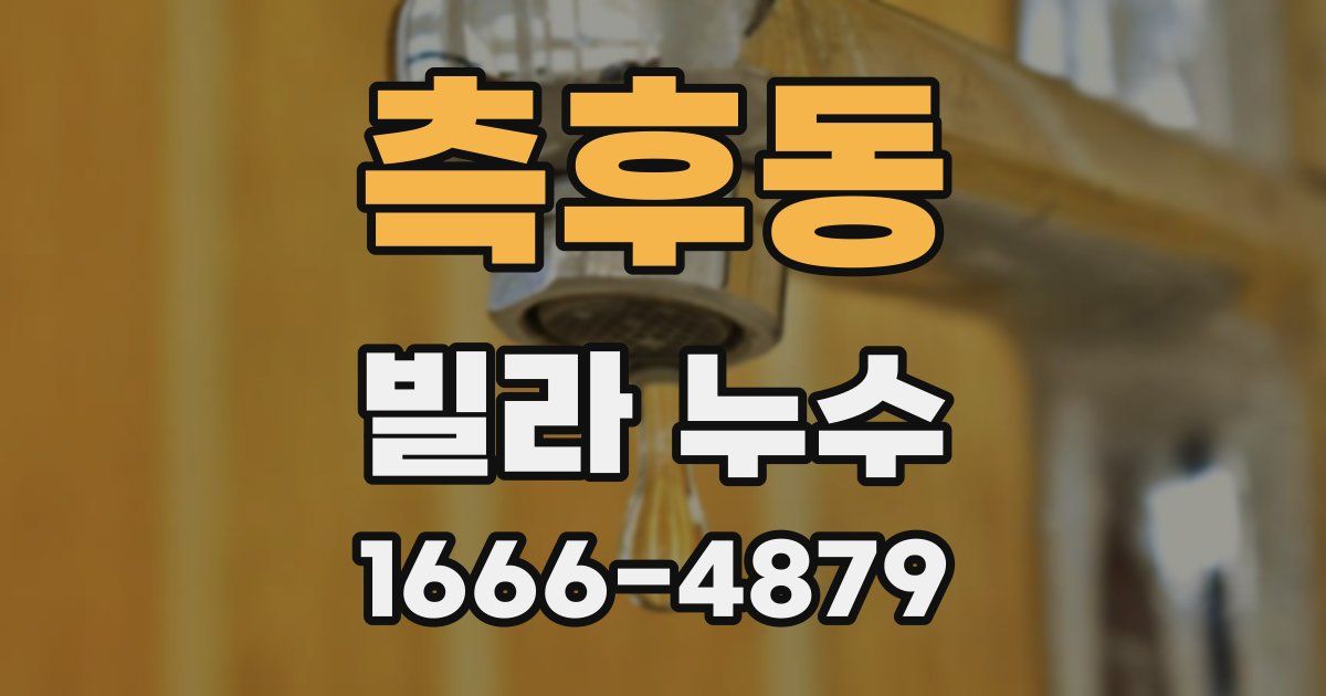 측후동 빌라 누수