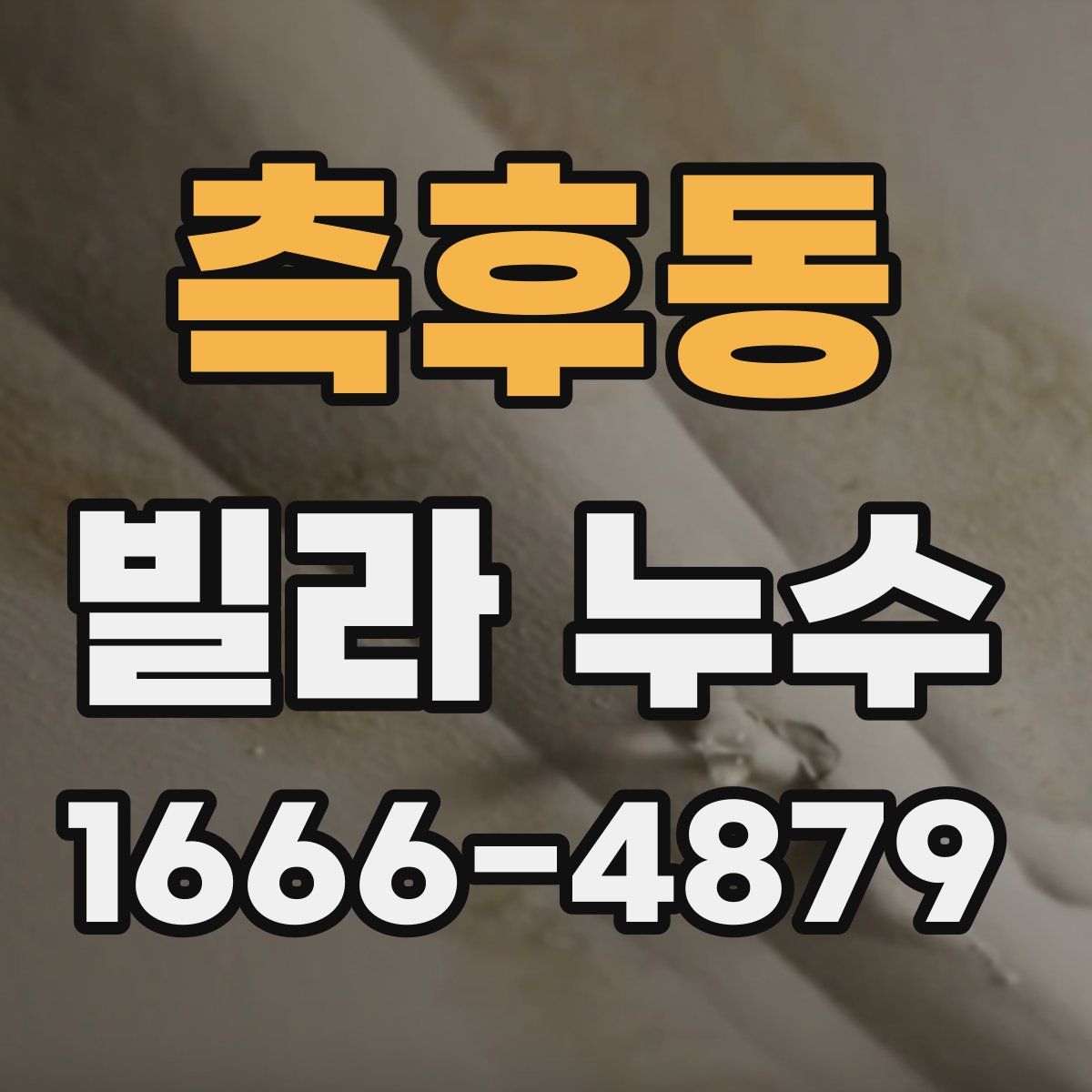 측후동 빌라 누수