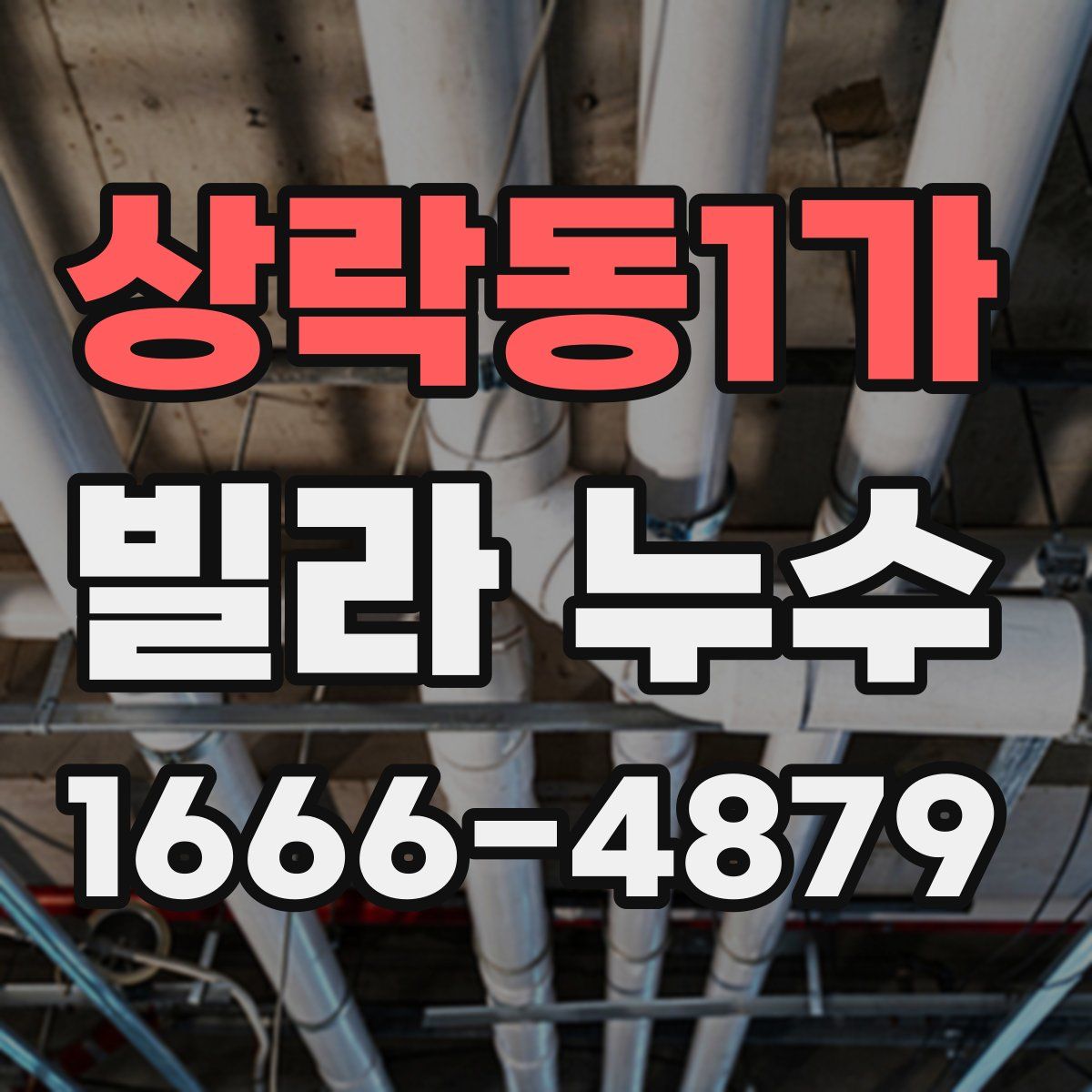 상락동1가 빌라 누수