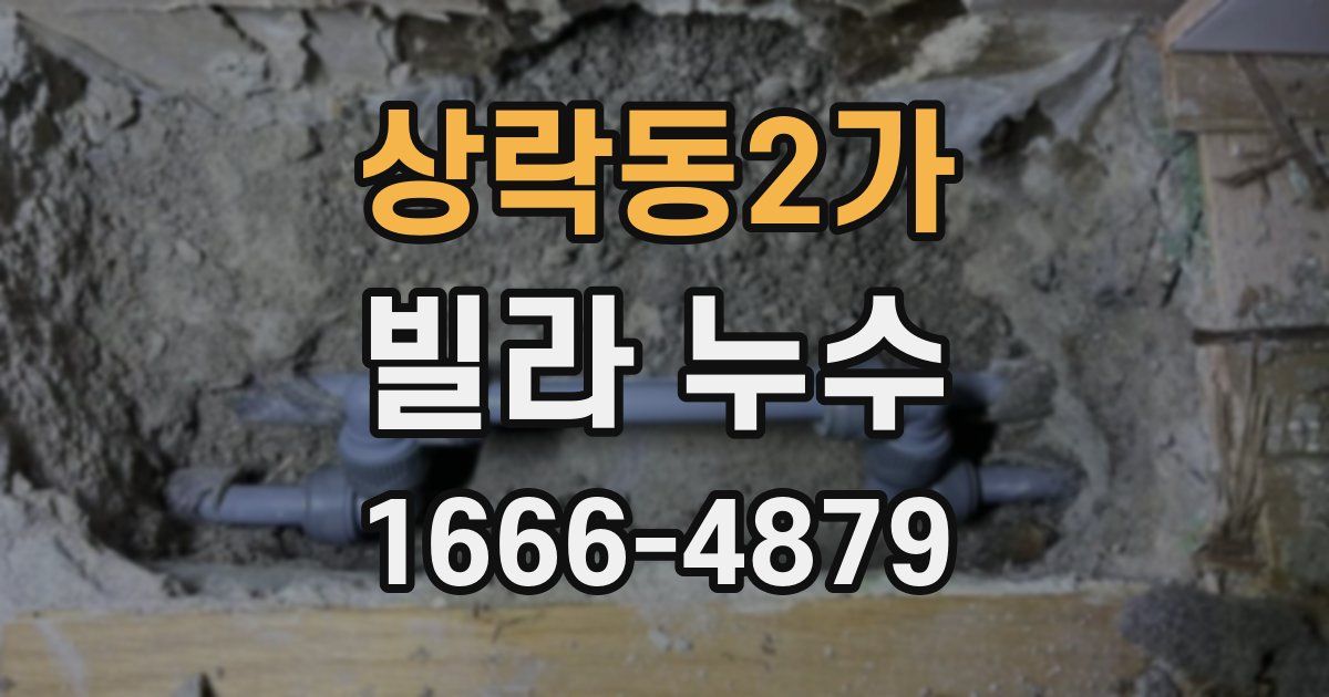 상락동2가 빌라 누수