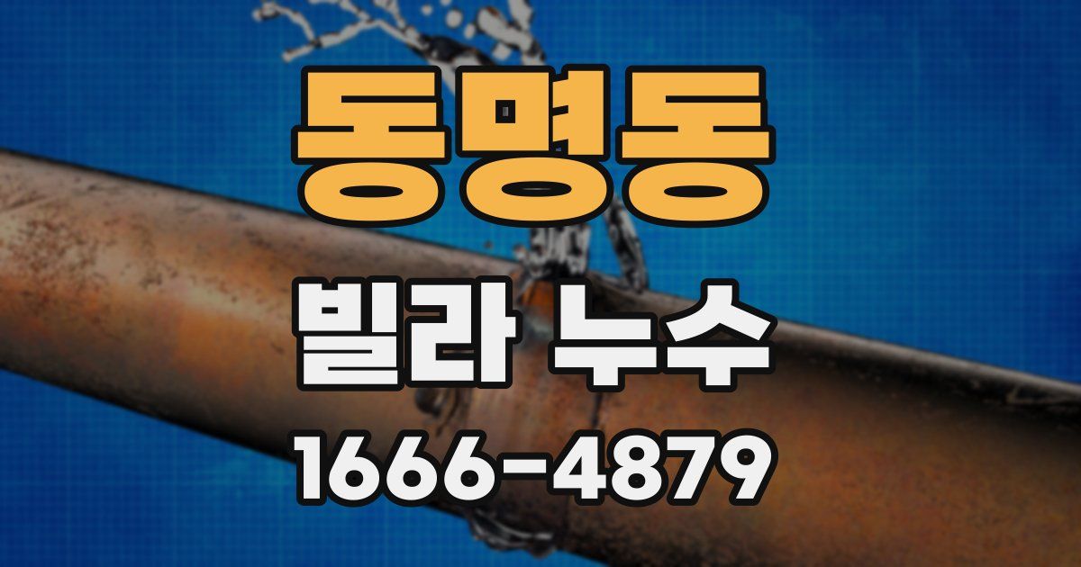 동명동 빌라 누수