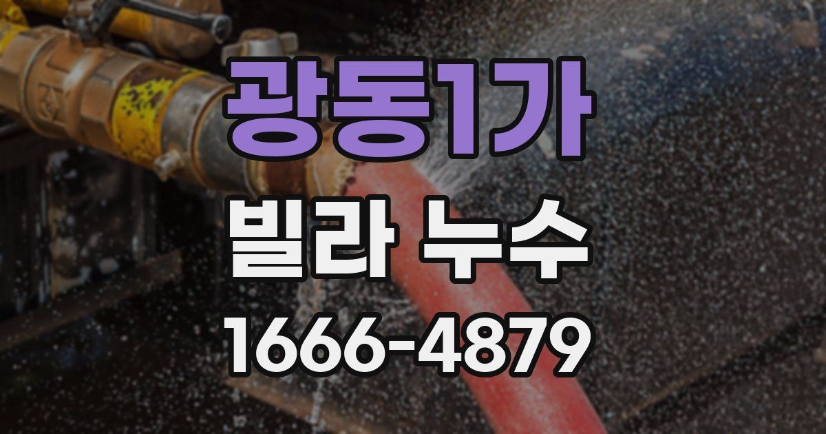 광동1가 빌라 누수