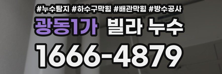 광동1가 빌라 누수
