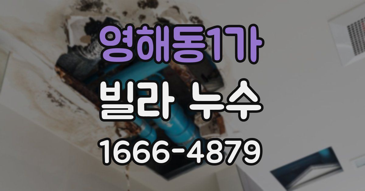 영해동1가 빌라 누수