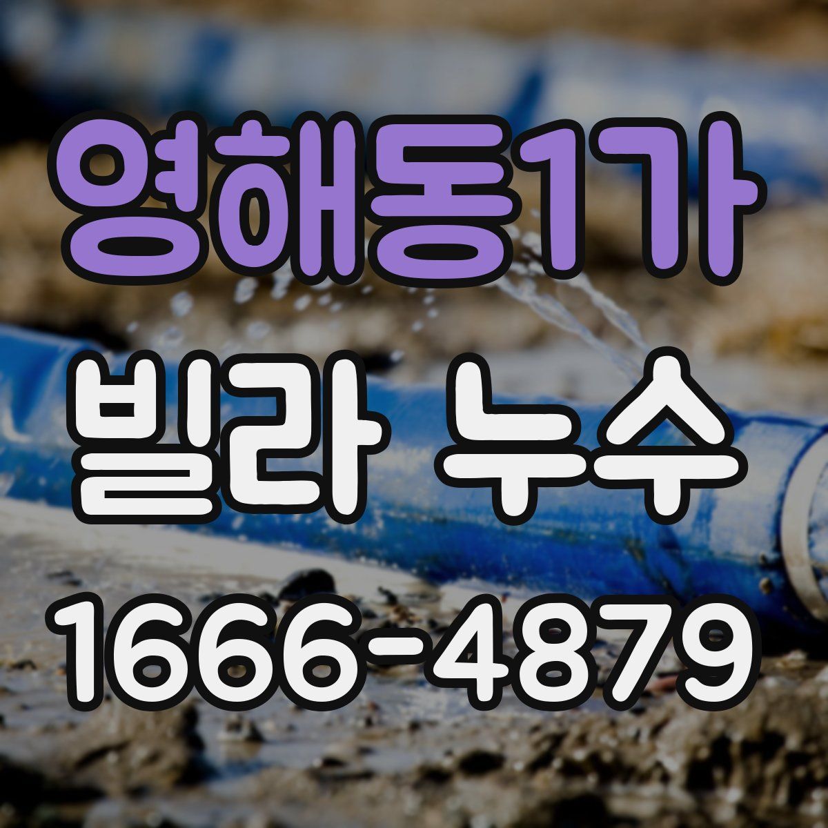 영해동1가 빌라 누수