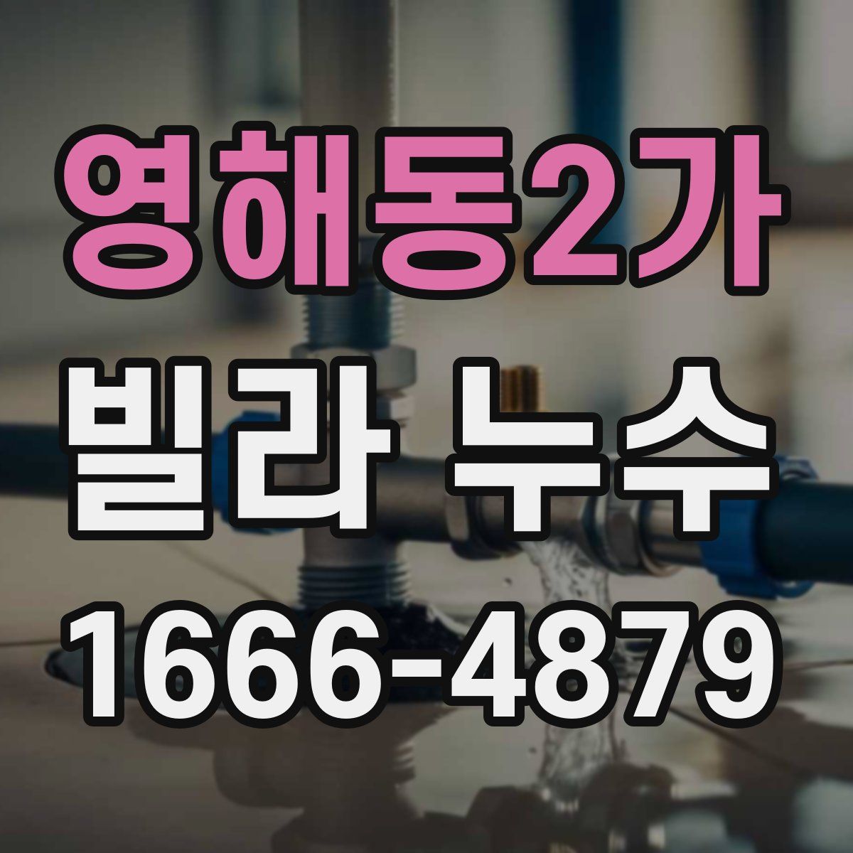 영해동2가 빌라 누수