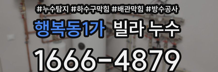 행복동1가 빌라 누수