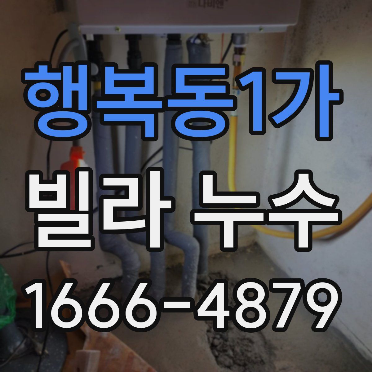 행복동1가 빌라 누수