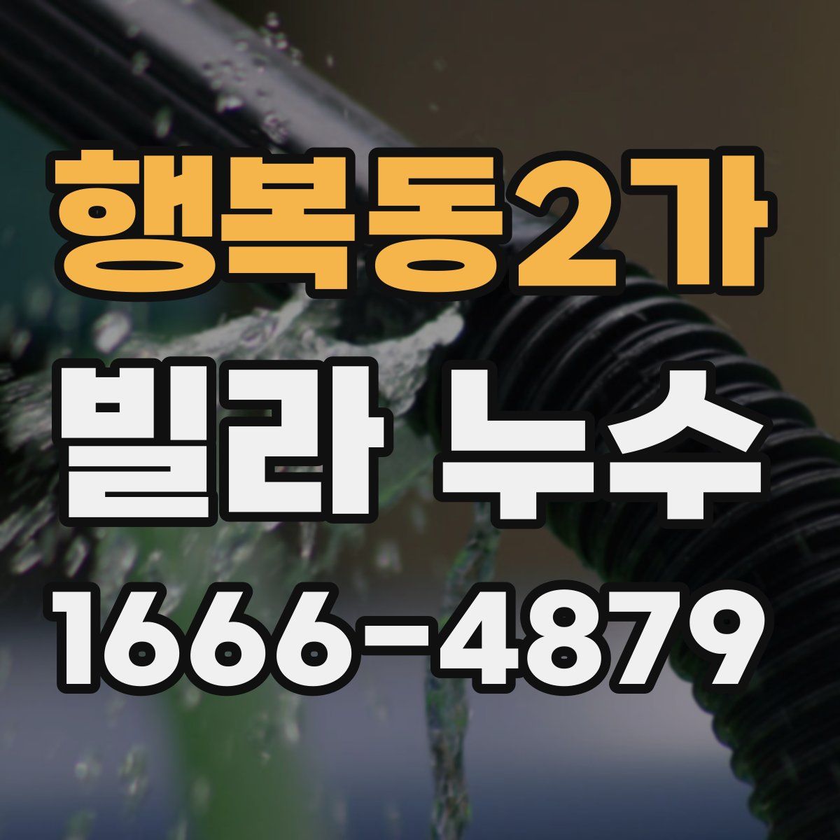 행복동2가 빌라 누수