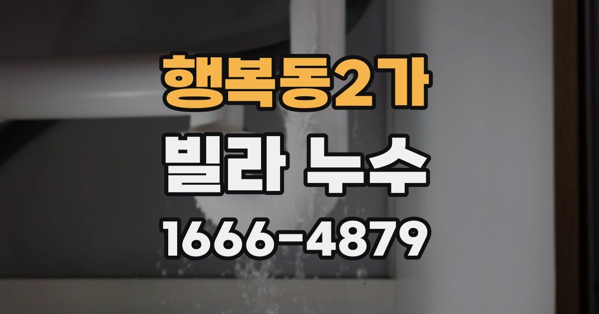 행복동2가 빌라 누수