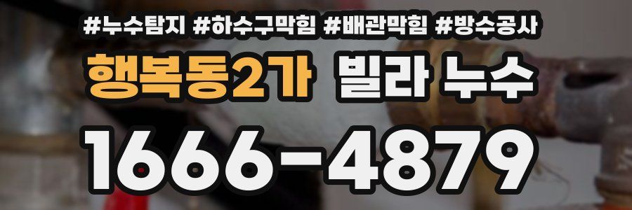 행복동2가 빌라 누수