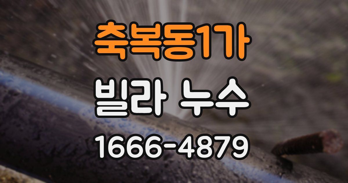 축복동1가 빌라 누수