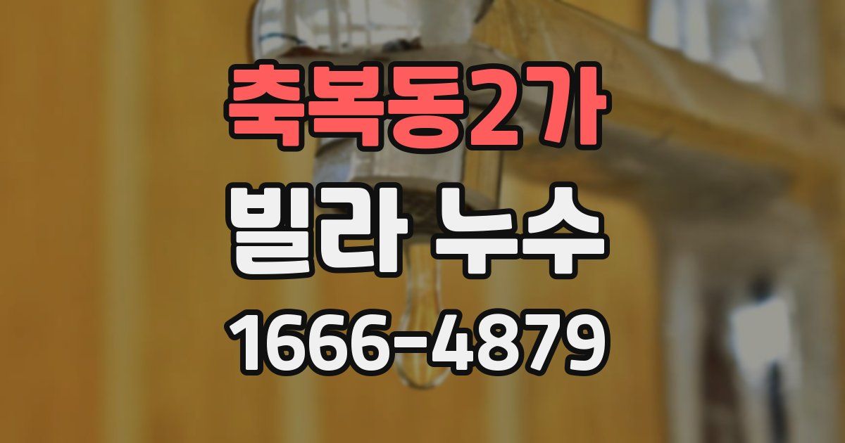 축복동2가 빌라 누수