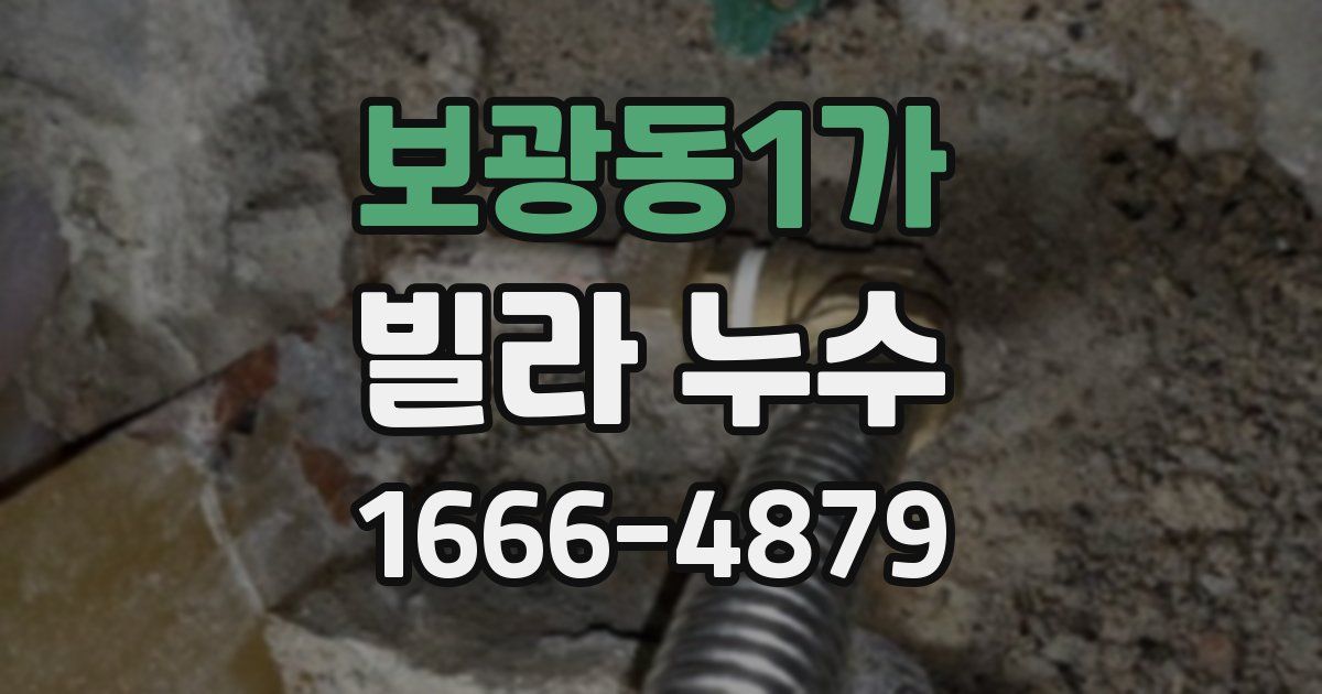 보광동1가 빌라 누수
