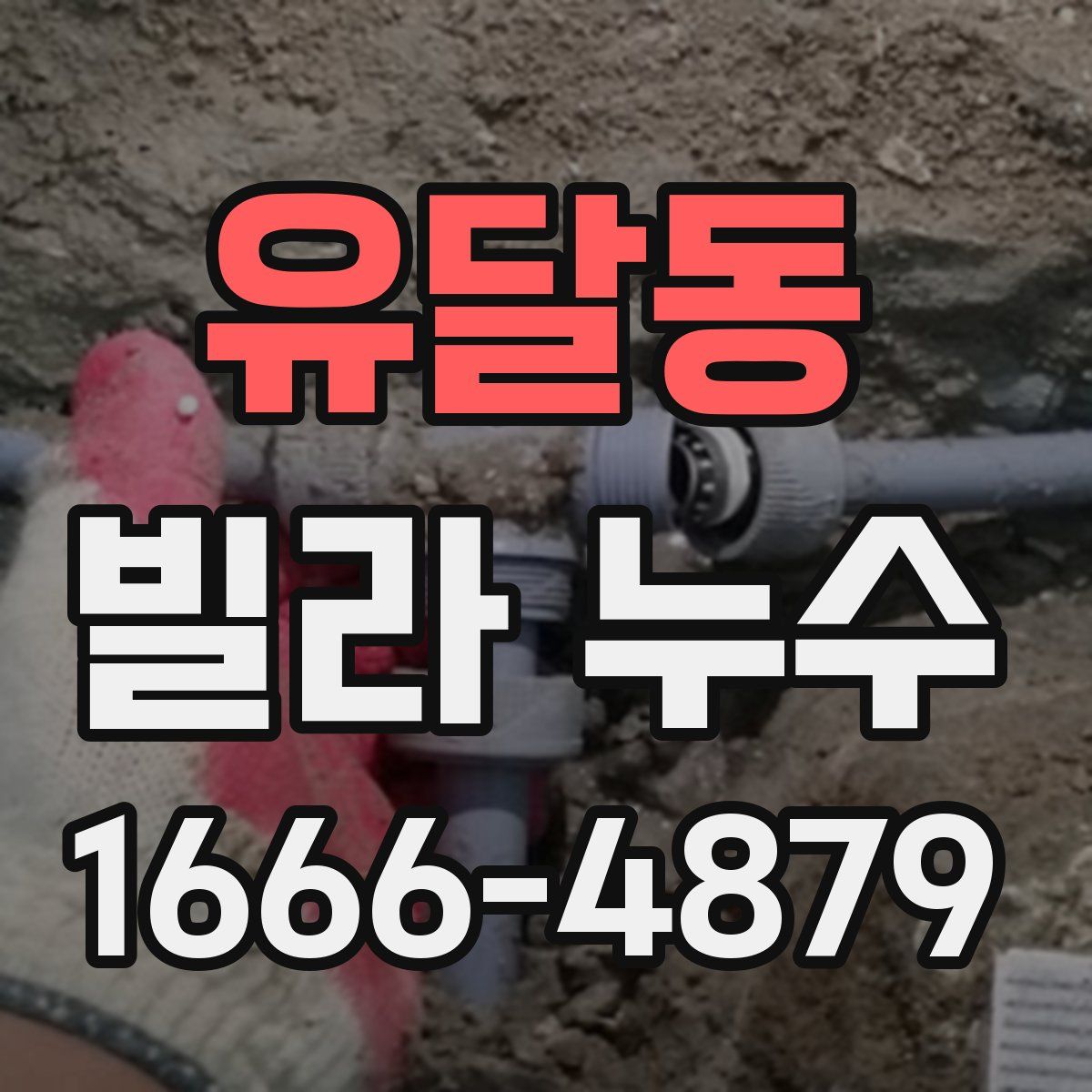 유달동 빌라 누수