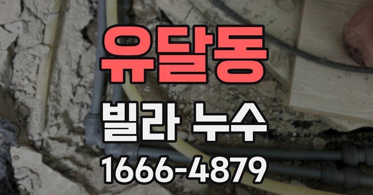 유달동 빌라 누수