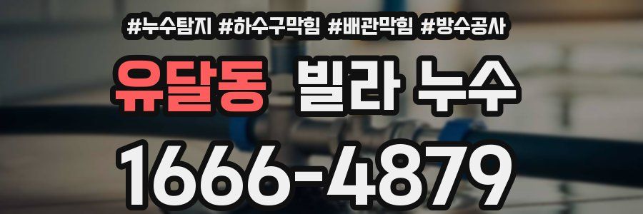 유달동 빌라 누수