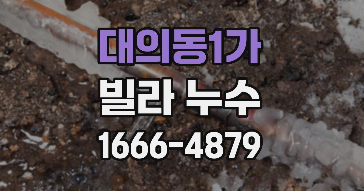 대의동1가 빌라 누수