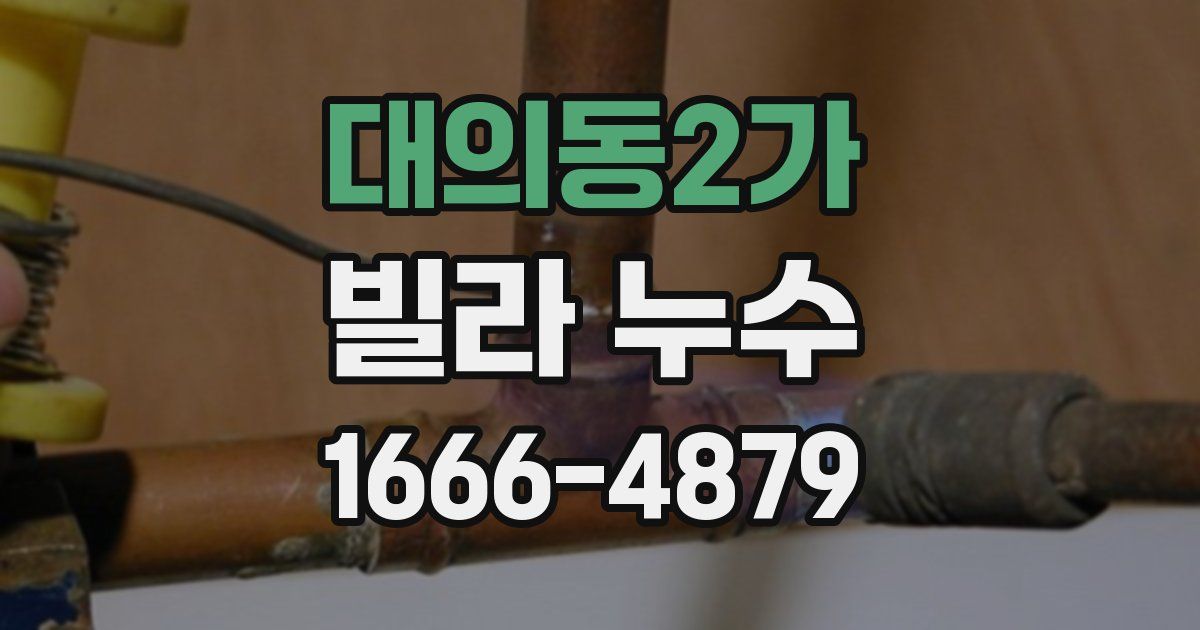대의동2가 빌라 누수