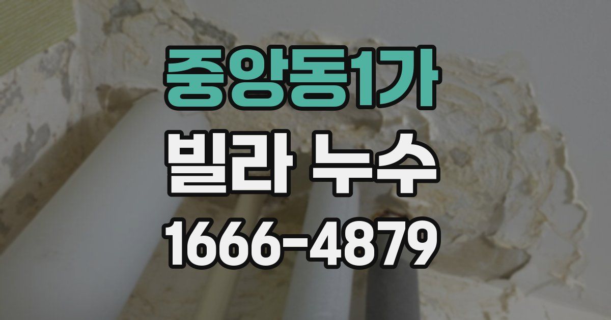중앙동1가 빌라 누수
