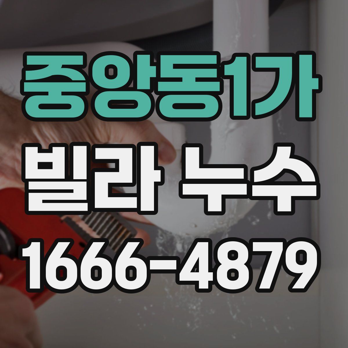 중앙동1가 빌라 누수