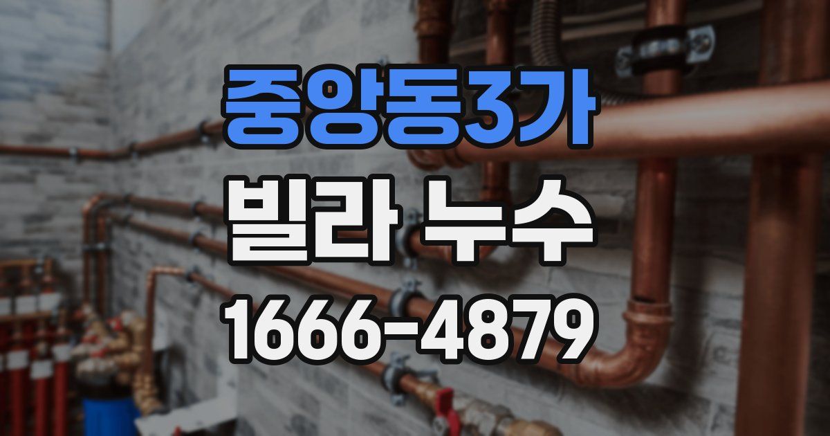 중앙동3가 빌라 누수