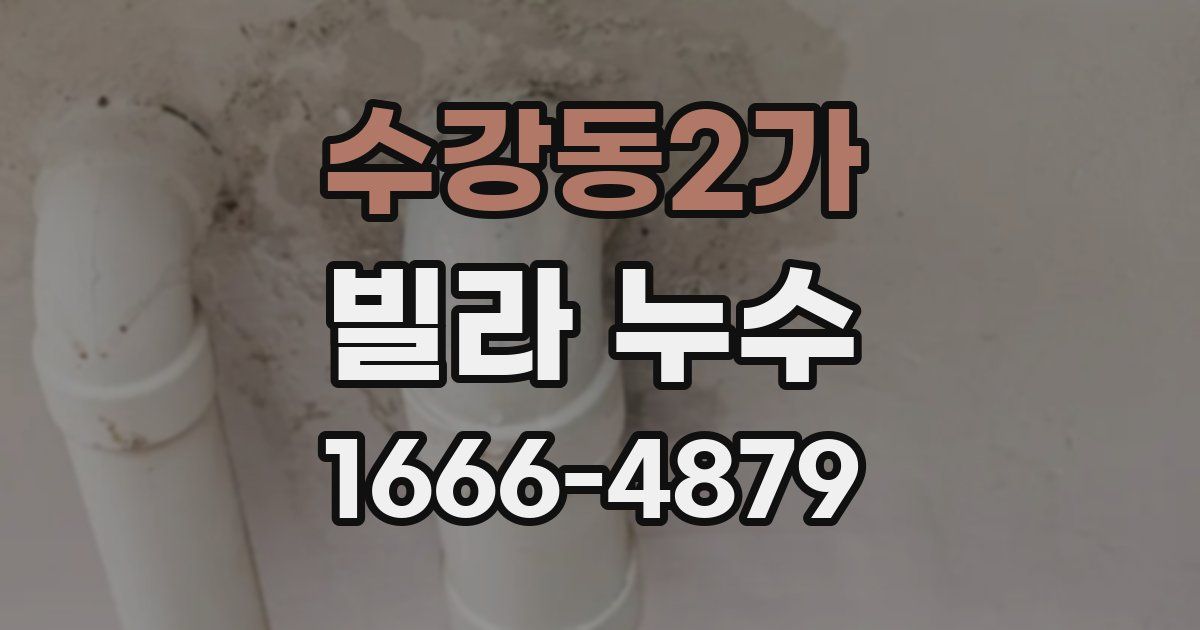 수강동2가 빌라 누수