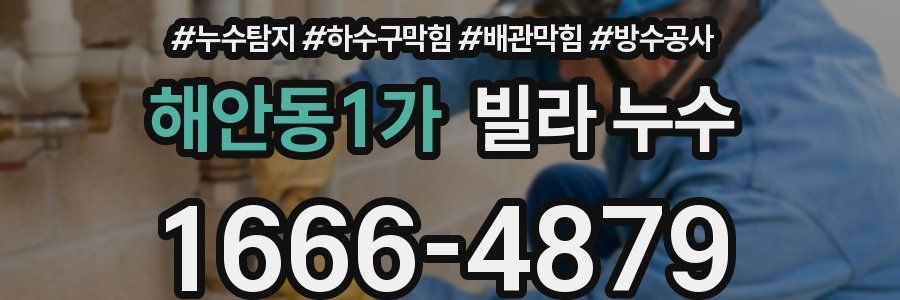 해안동1가 빌라 누수