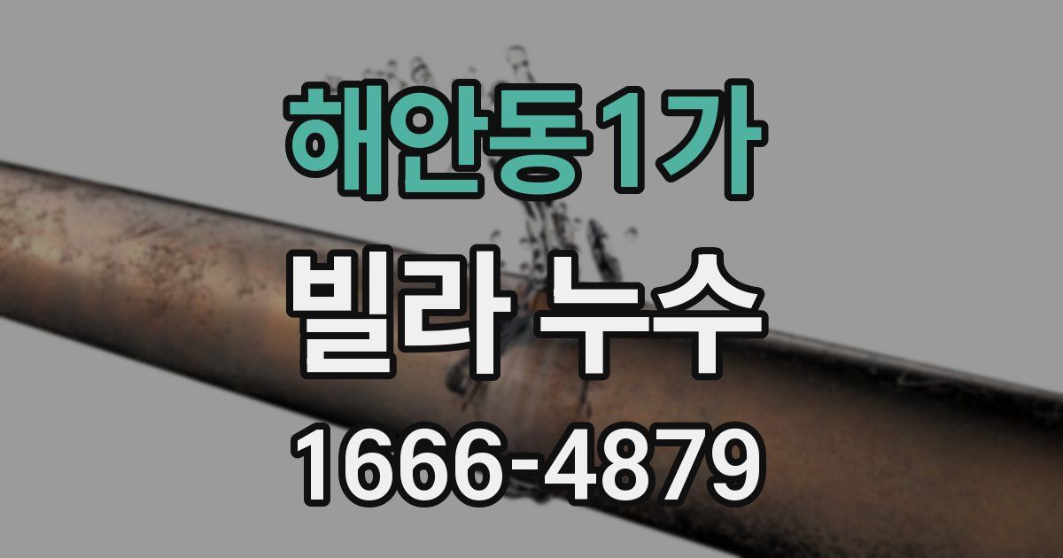 해안동1가 빌라 누수