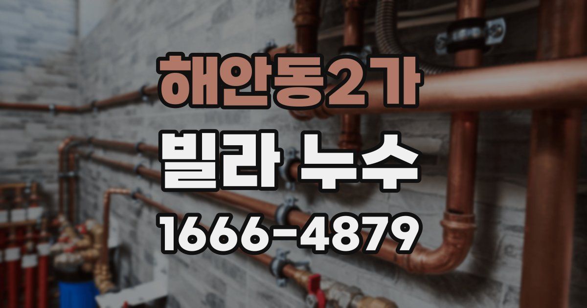 해안동2가 빌라 누수