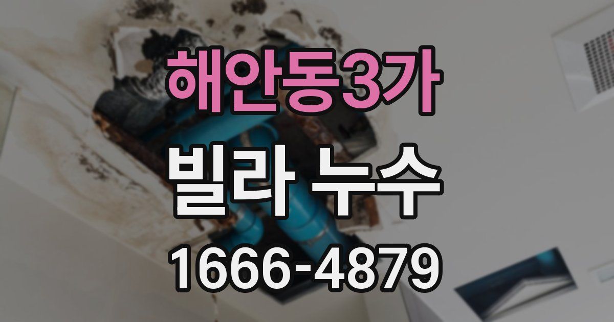 해안동3가 빌라 누수
