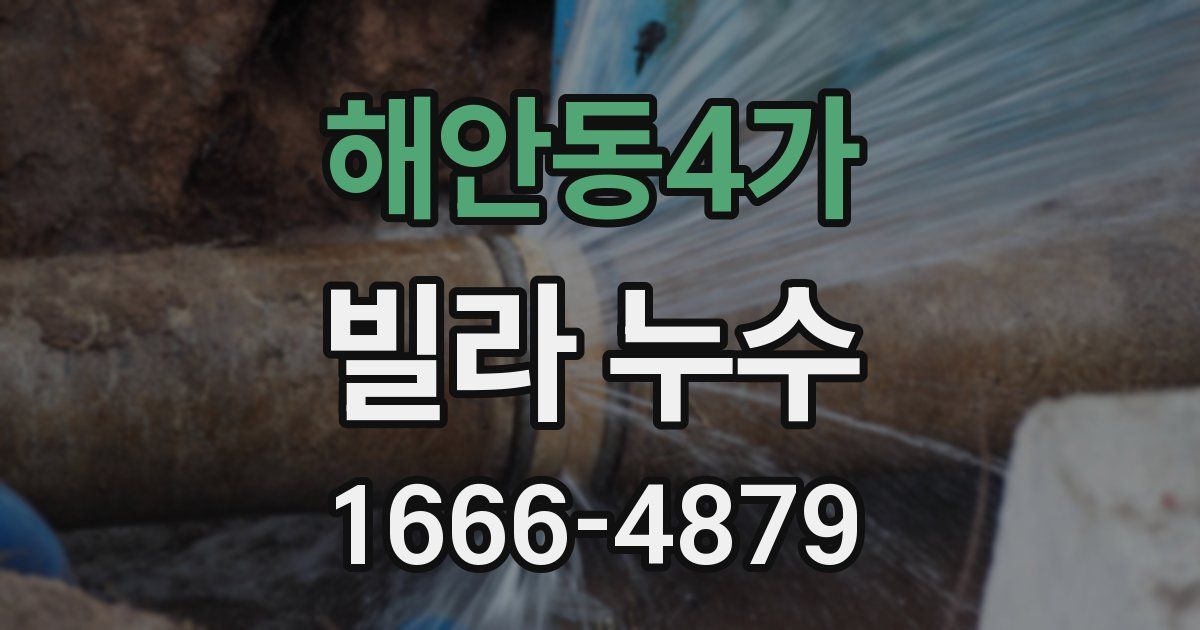 해안동4가 빌라 누수