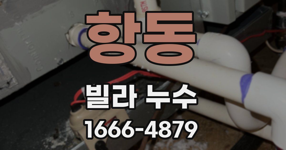 항동 빌라 누수