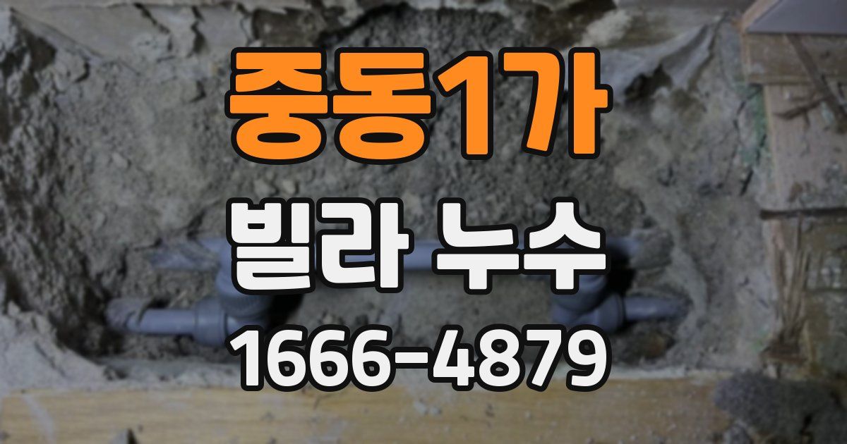 중동1가 빌라 누수