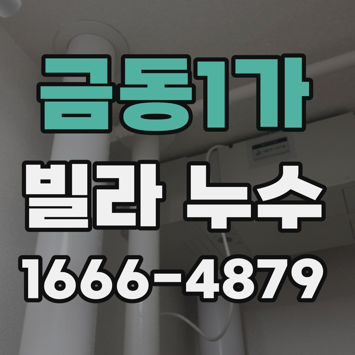 금동1가 빌라 누수