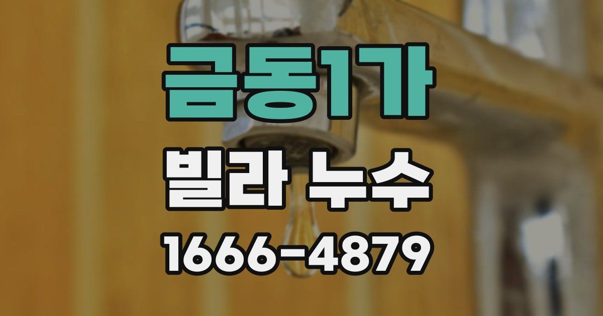금동1가 빌라 누수