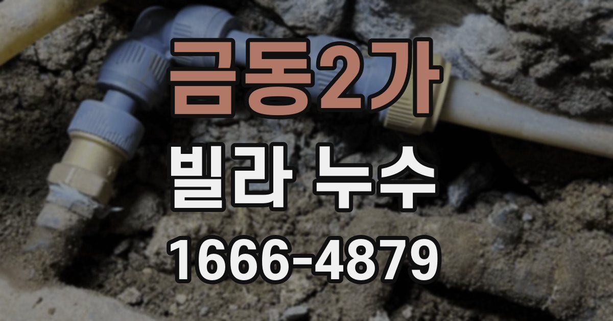 금동2가 빌라 누수