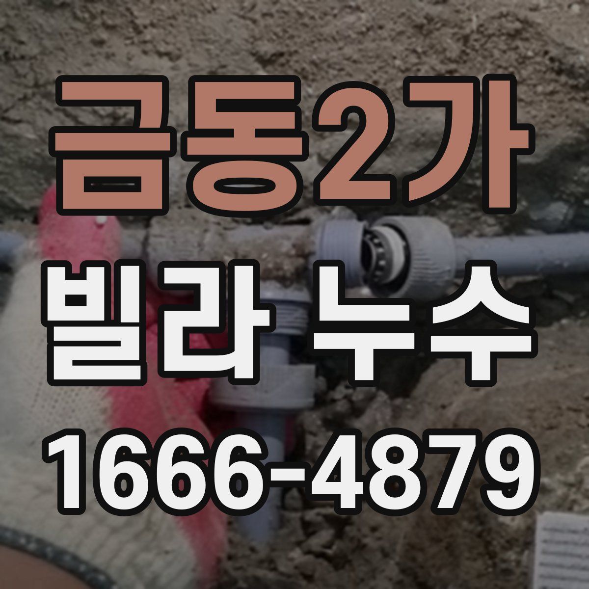 금동2가 빌라 누수