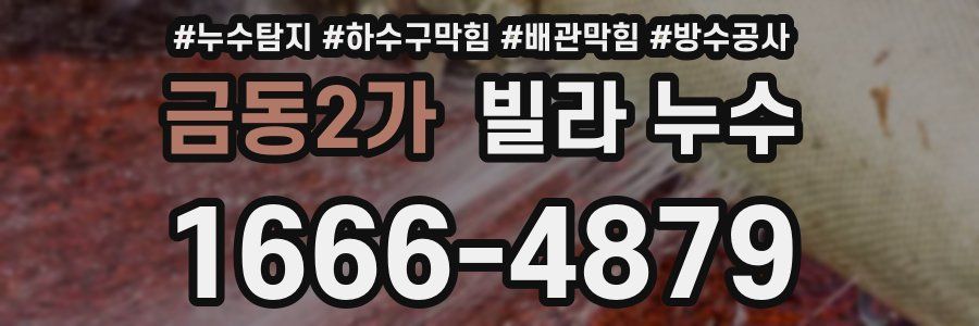 금동2가 빌라 누수