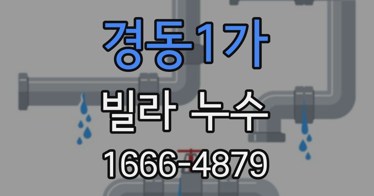 경동1가 빌라 누수