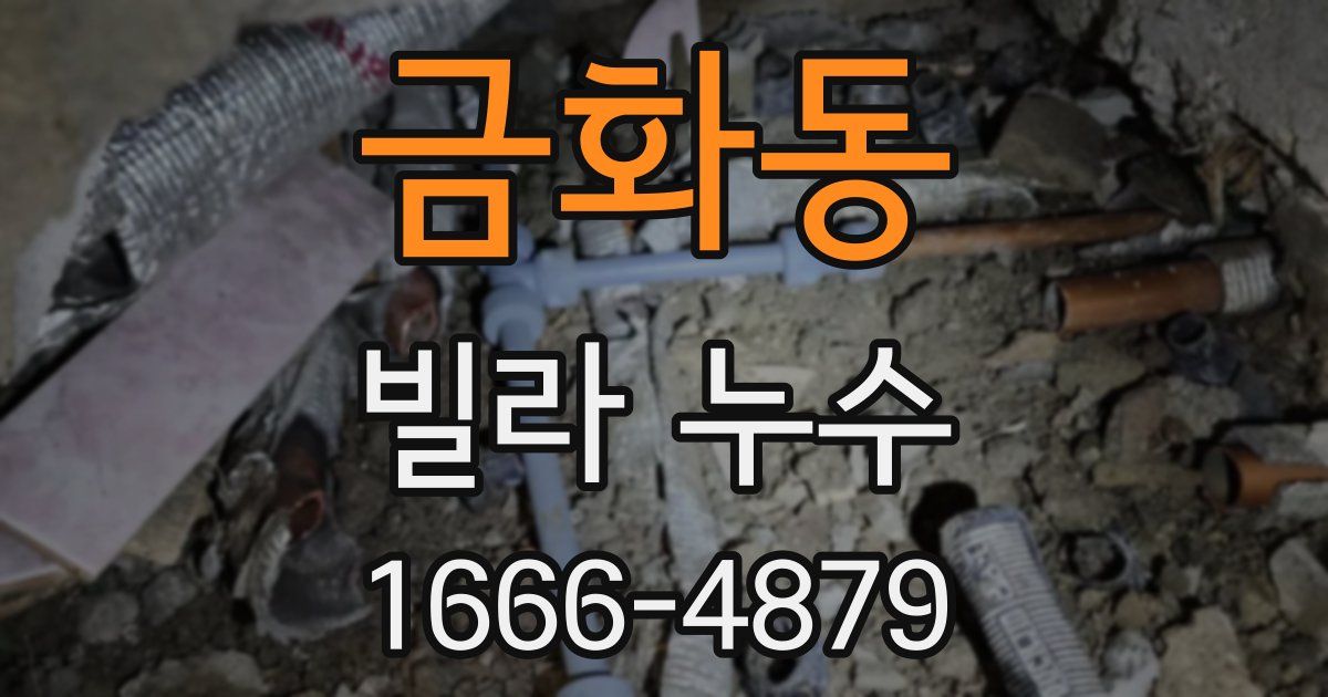 금화동 빌라 누수
