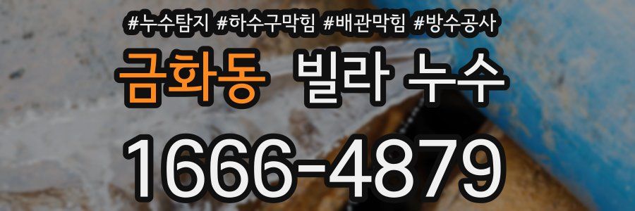 금화동 빌라 누수