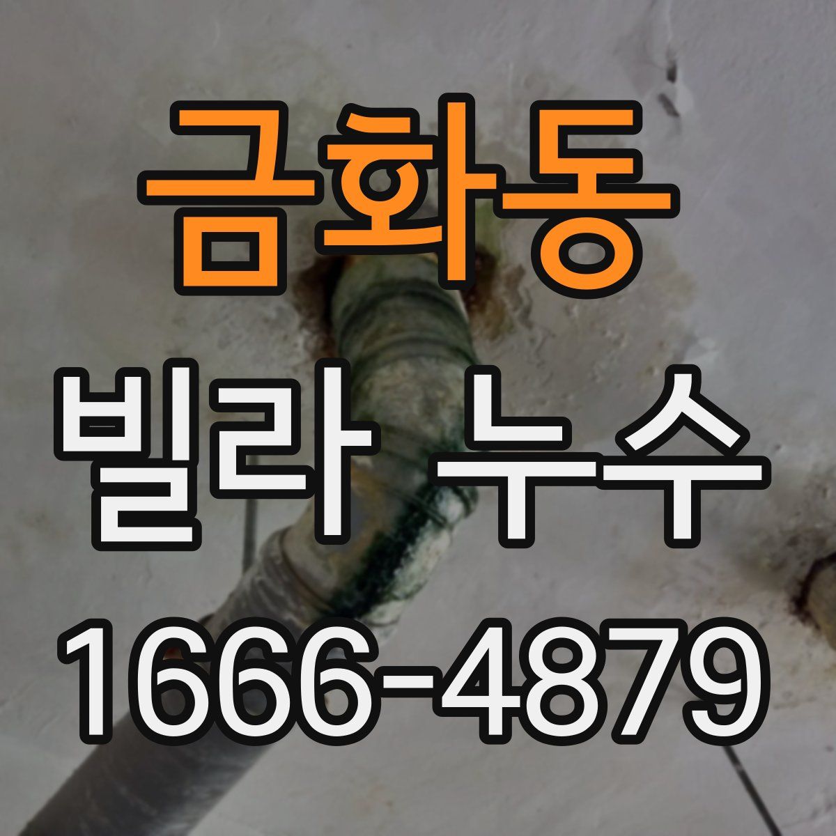 금화동 빌라 누수