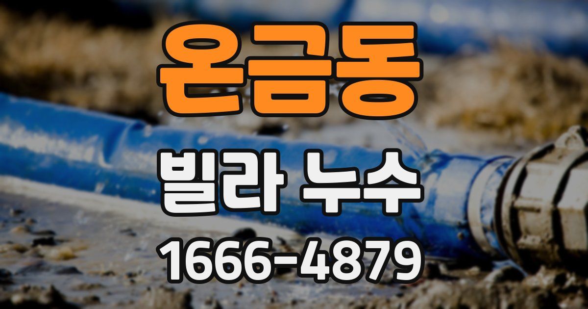 온금동 빌라 누수
