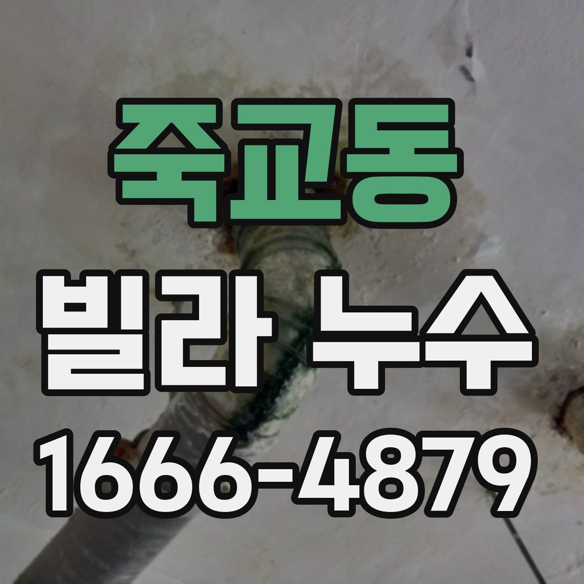 죽교동 빌라 누수