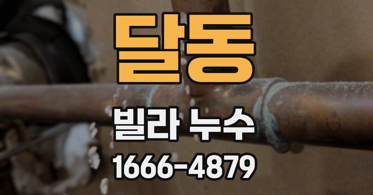 달동 빌라 누수