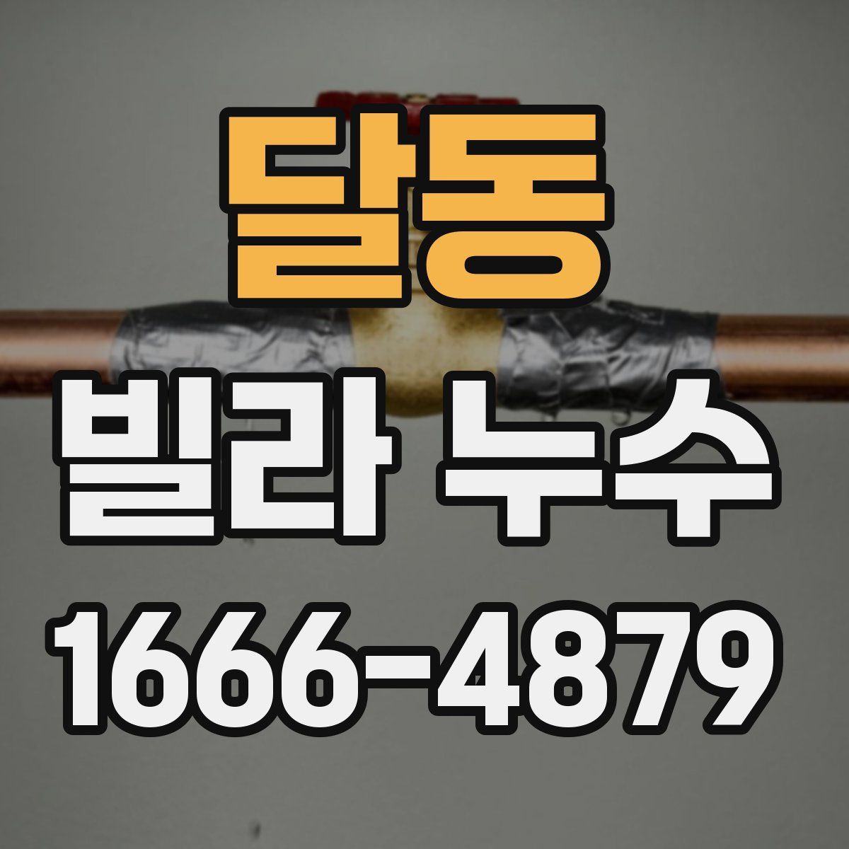 달동 빌라 누수