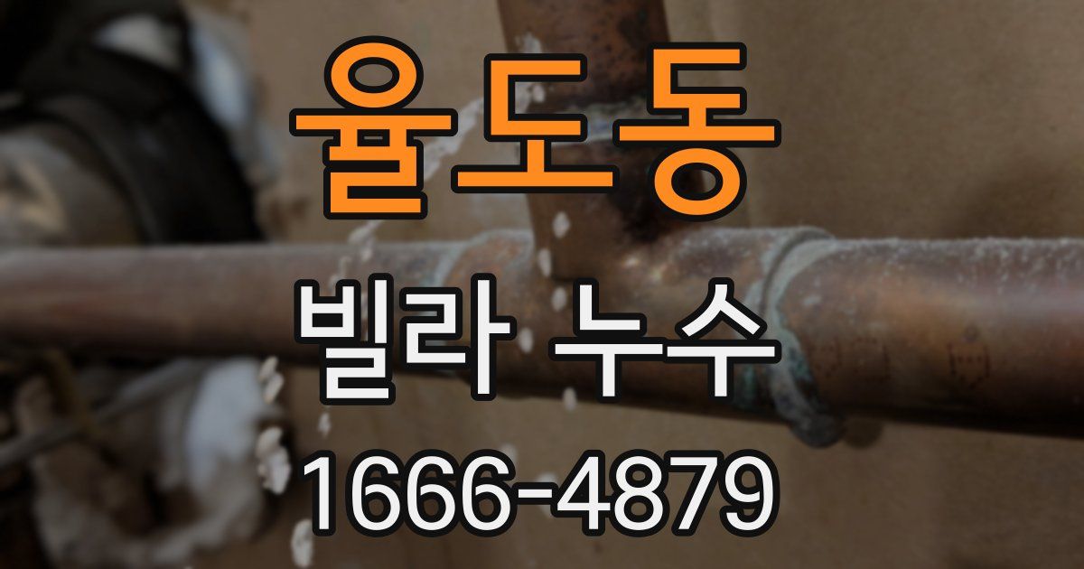 율도동 빌라 누수