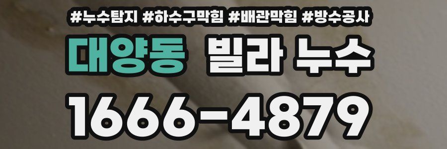 대양동 빌라 누수