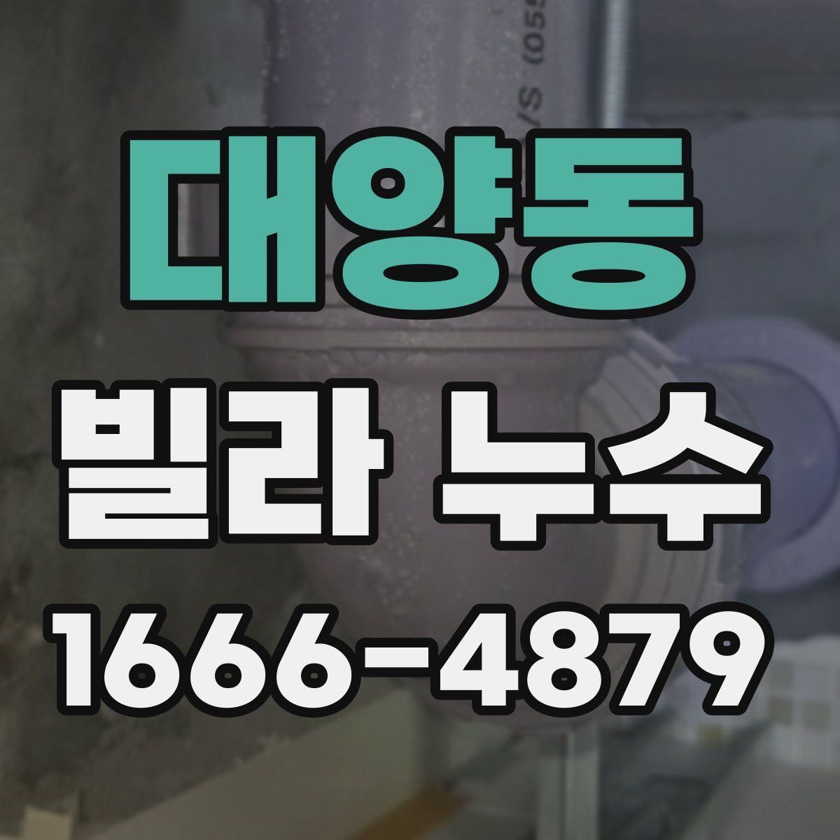 대양동 빌라 누수